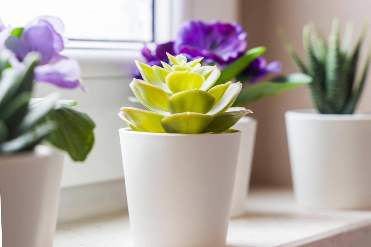 سبليت Apartment Summer Dreams المظهر الخارجي الصورة
